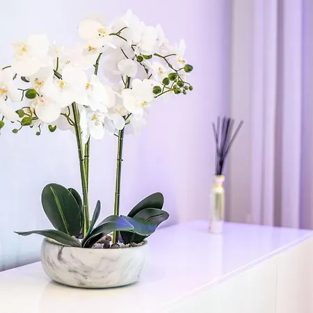 Leonor Seaview * Funchal (Madeira)