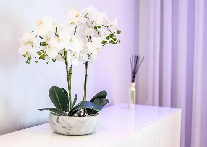 Leonor Seaview * Funchal (Madeira)